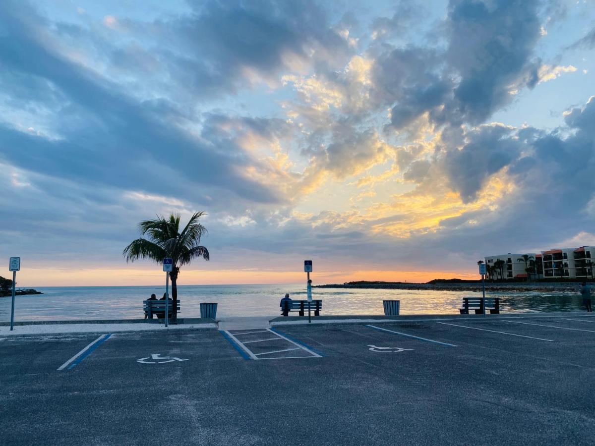 סיינט פיט ביץ' Majestic Beach Condo In Beachfront Resort In St Pete Beach מראה חיצוני תמונה